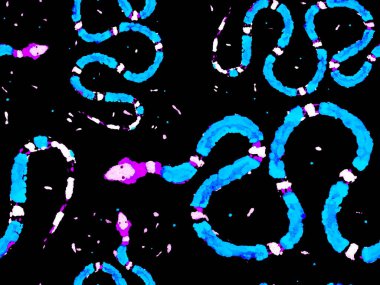 Afrika Safari Deri Çizimi. Aspid Pürüzsüz Düzen. El çizimi Aspid Deseni. Klasik Mavi ve Çivit Yılan Derisi İzi. Zehirli Ejder Taklidi. Elapidae Kapanış Arkaplanı.