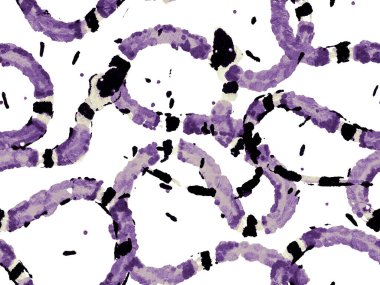 Proton Mor Aspid Kusursuz Düzen. Afrika Safari Deri Çizimi. Elapidae Kapanış Arkaplanı. El çizimi Aspid Deseni. Yılan Derisi Parmak izi. Zehirli Ejder Taklidi.