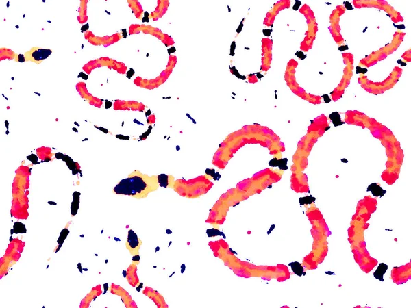Met Hand Getekend Aspid Patroon Snake Skin Print Giftige Drakenimitatie — Stockfoto