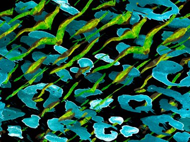 Suluboya Kamuflaj Tasarımı. Soyut Safari fayansı. Siyah ve Aqua Menthe Yeşil Geometrik Hayvan dokusu. Zebra Deri İzi. Hayvan kamuflajı arka planı. Afrika deseni. Çizgili Kusursuz Desen.