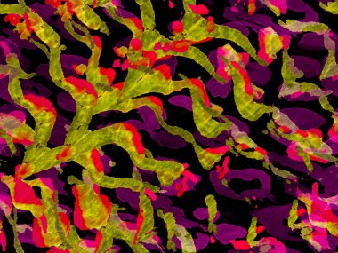 Geometrik hayvan dokusu. Afrika deseni. Çizgili, kusursuz desen. Siyah ve Lavantalı Mor Zebra Cilt İzi. Hayvan kamuflajı arka planı. Suluboya Kamuflaj Tasarımı. Soyut Safari Döşemesi.