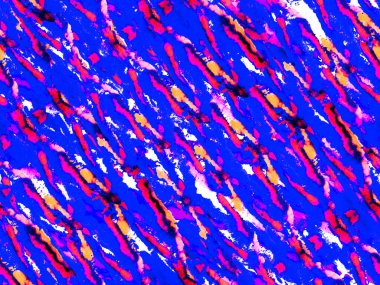 Zebra Deri İzi. Klasik Mavi ve Lush Lav kırmızısı çizgili kusursuz desen. Geometrik hayvan dokusu. Suluboya Kamuflaj Tasarımı. Soyut Safari fayansı. Hayvan kamuflajı arka planı. Afrika Deseni.