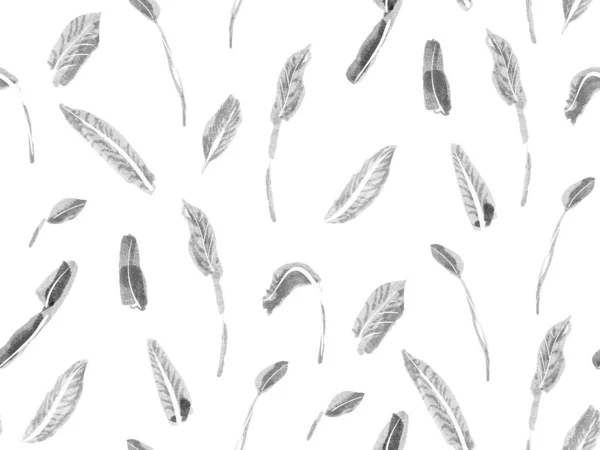 Простой Понятный Патч Монохромный Серый Экзотический Фон Купальников Цветочный Креативный — стоковое фото