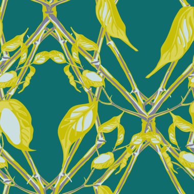 Limonsuz desen. Yeşil ve Gri Psikedelik Citron Motifi. Vector Summer Citrus Yazdırma. Modern El Çizimi Arkaplanı. Basit İşaretli Kireç. Botanik Çizim.