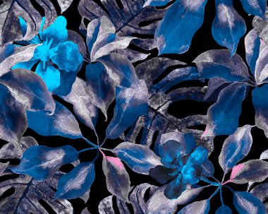 Schefflera Arboricola Kusursuz Düzen. Botanik Suluboya Yazdırma. Schefflera Aktinophylla Hayata Tekrarlanan Süs Mavisi ve İndigo Evergreen Egzotik Çiçekli Walisongo Bitkisi.