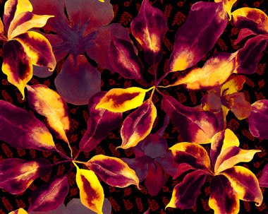 Schefflera Arboricola Kusursuz Düzen. Sarı ve Siyah Evergreen Egzotik Çiçekli Walisongo Bitkisi. Botanik Suluboya Yazdırma. Schefflera Aktinophylla Hayata Tekrarlanan Süs