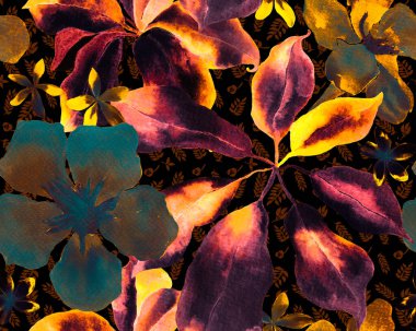 Schefflera Arboricola Kusursuz Düzen. Schefflera Aktinophylla Hayata Tekrarlanan Süslü Botanik Suluboya Yazısı. Sarı ve Siyah Evergreen Egzotik Çiçekli Walisongo Bitkisi.