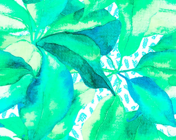 Schefflera Arboricola Seamless Pattern Πράσινη Και Τιλ Βοτανική Υδατογραφία Εκτύπωση — Φωτογραφία Αρχείου