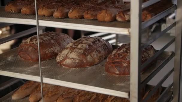 Темный хлеб в хлебопекарне — стоковое видео