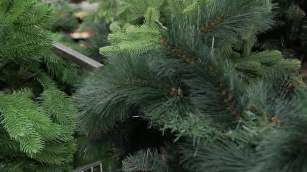 Künstlicher Weihnachtsbaum — Stockvideo