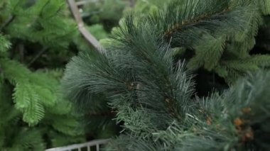 Yapay Noel Ağacı Kapanışı