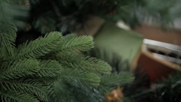 Christmas Tree Macro — Stock Footage Christmas Tree Macro Stock Video