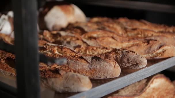 Baguette fraîche à la boulangerie — Video