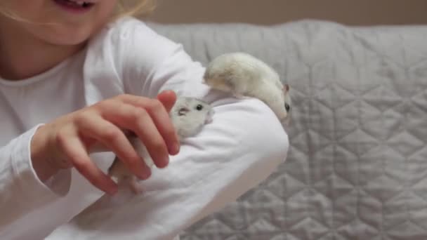Küçük Kız Evcil Hayvanı Düşürdü — Stok video