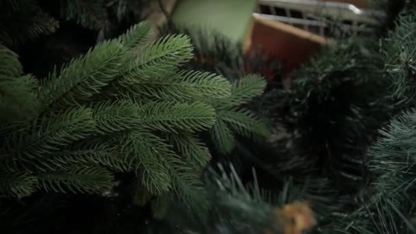 Primer plano del árbol de Navidad — Vídeo de stock