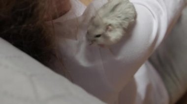 Omuzdaki Evcil Hayvan