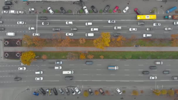 市区交通及广场 — 图库视频影像