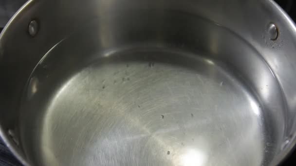 Boiling Water In A Saucepan — Stock Video