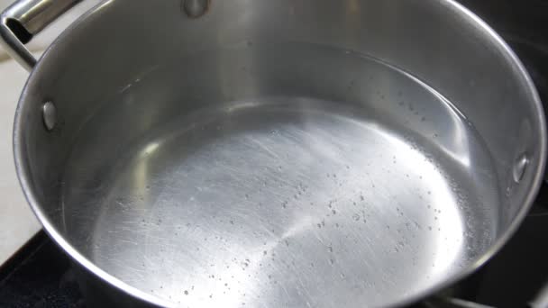 Verwarming van water in pan — Stockvideo