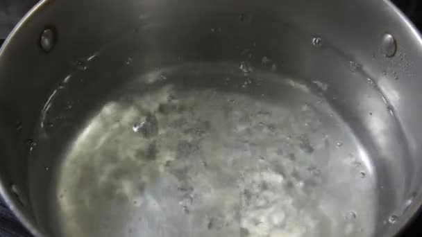 Vařící voda v Saucepanu — Stock video