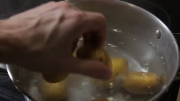 Gotować ziemniaki w patelni — Wideo stockowe