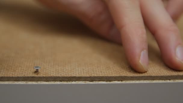 Man Hammering Nails Closeup — Stock Video