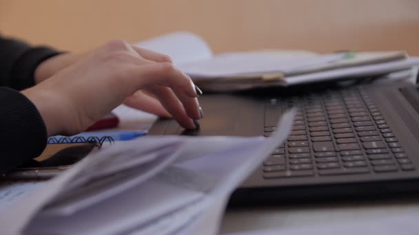 Mani della donna che lavorano sul computer portatile — Video Stock