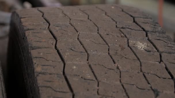 Old Truck Tires — Stock Video