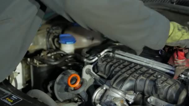 Car Engine Care — Stock Video