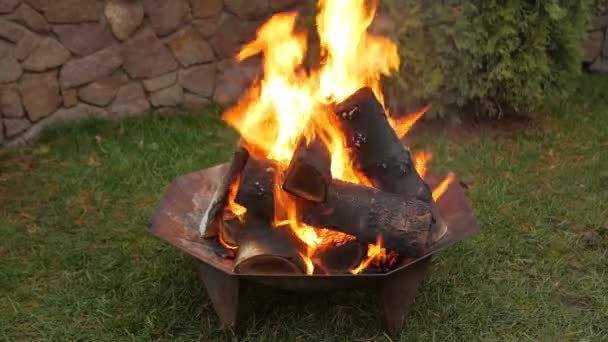 院子里的篝火 — 图库视频影像