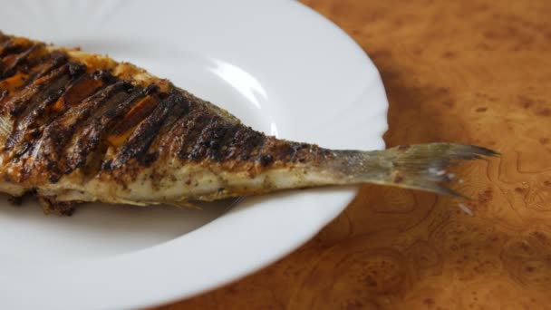 在盘子里烤鱼 — 图库视频影像