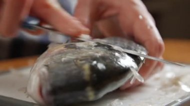 Balık Temizleme Yakınlığı