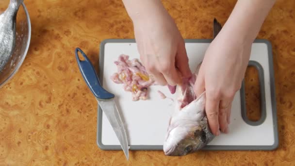 Резня свежей рыбы — стоковое видео