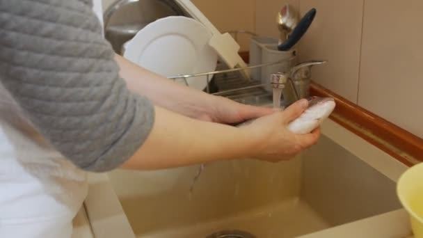 Руки миють рибу — стокове відео