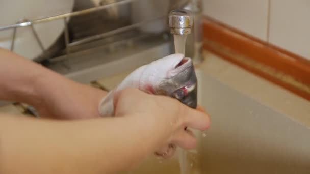 Mãos Lavagem de peixe — Vídeo de Stock