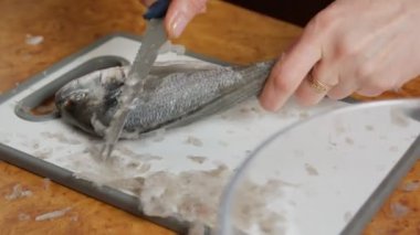 Taze Balık Temizleme