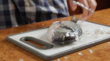 Pul Taze Balığı Temizleme