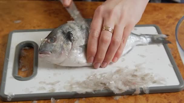 Чистка рыбы ножом — стоковое видео
