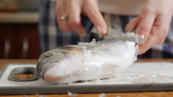 スケール魚の清掃 — ストック動画