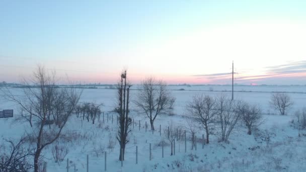 Wintervelden bij zonsondergang — Stockvideo
