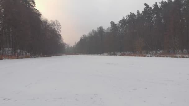 Winterwald am gefrorenen See — Stockvideo