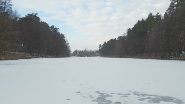 Bevroren meer in het bos — Stockvideo