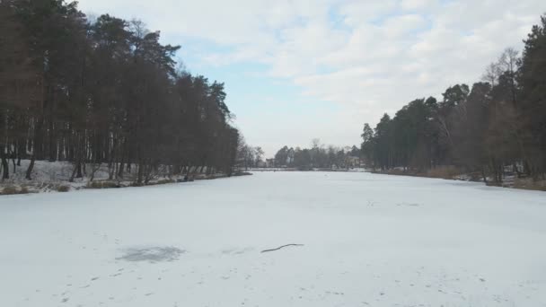 Lago congelato nella foresta — Video Stock