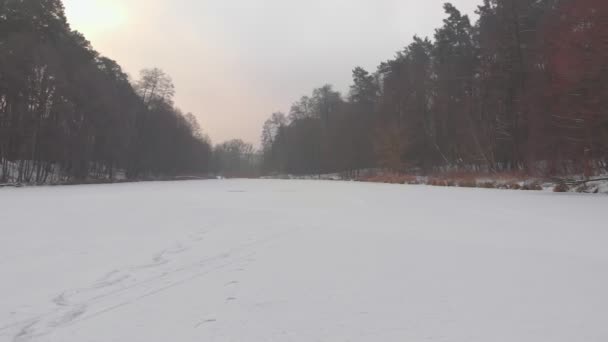 Bevroren meer in het winterwoud — Stockvideo