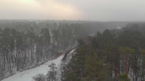 Река в зимнем лесу — стоковое видео