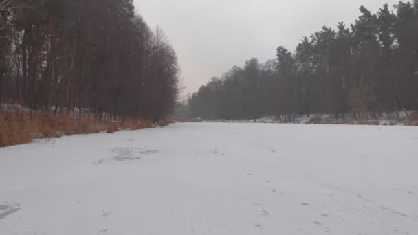 Winter bevroren meer in het bos — Stockvideo