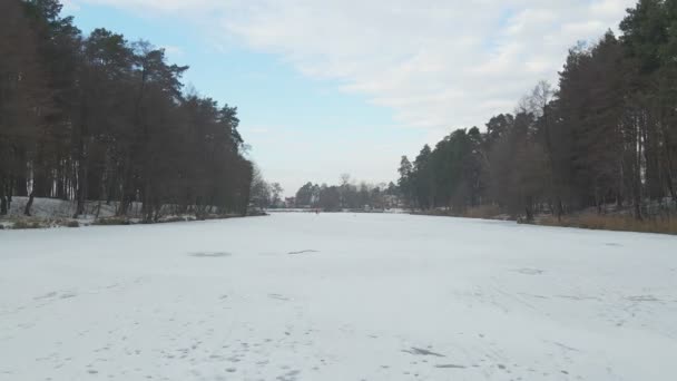 Bosque de lago congelado — Vídeos de Stock