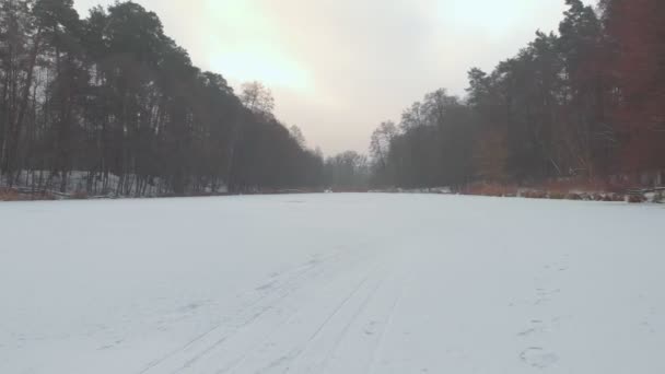 Vinter Fryst sjö och skog — Stockvideo