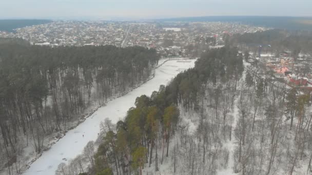 Zimowy Las Rzeka i wieś — Wideo stockowe
