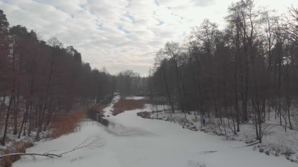 Donmuş Nehir Ağaçları — Stok video